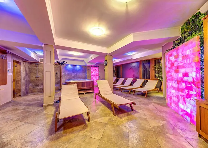 елит релакс